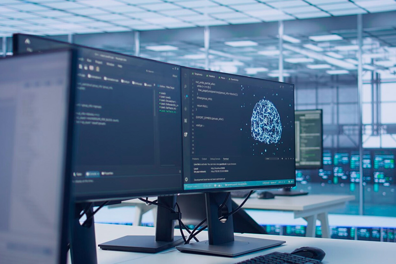 Τομείς ανάπτυξης