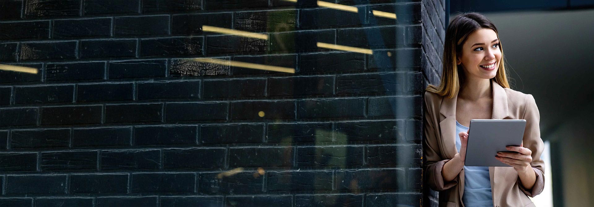 Ανάπτυξη λογισμικού